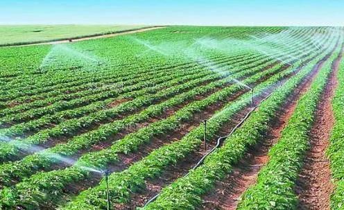 粉嫩的小穴农田高 效节水灌溉